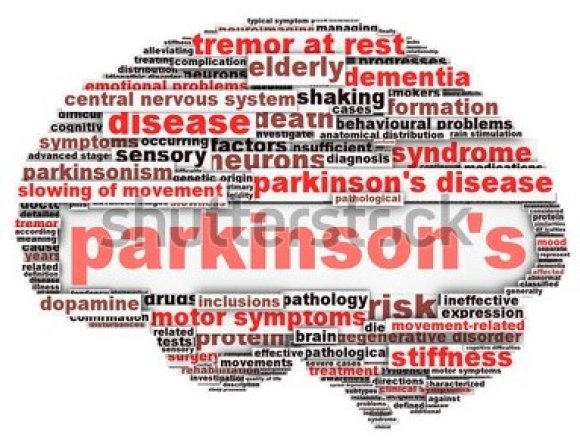 Parkinsons Disease Support Group