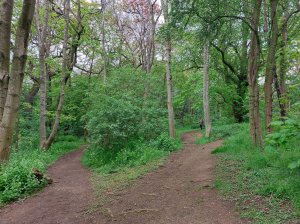 Parks and Open Spaces Committee meeting