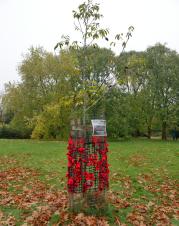 Our commemoration to specifically remember VE and VJ day - Cllr Claire Douglas planted an English Walnut tree, which will grow to give shelter at the memorial seating area in Grange Wood Park.

In 2023 the tree was wrapped in poppies by volunteers.